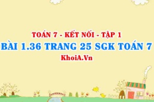 Bài 1.36 trang 25 SGK Toán 7 tập 1 Kết nối tri thức